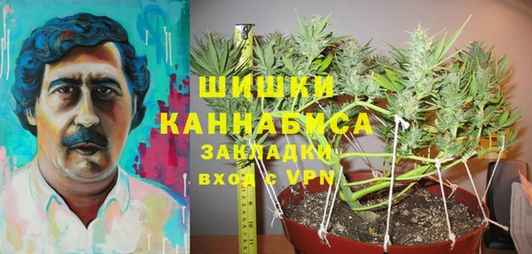 мдма Богородицк