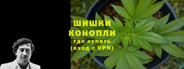spice Богданович