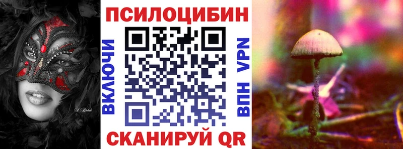 Псилоцибиновые грибы Psilocybe  Можга 